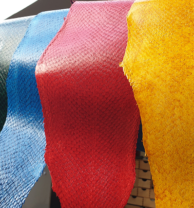 nicolas guerin couleurs exotiques